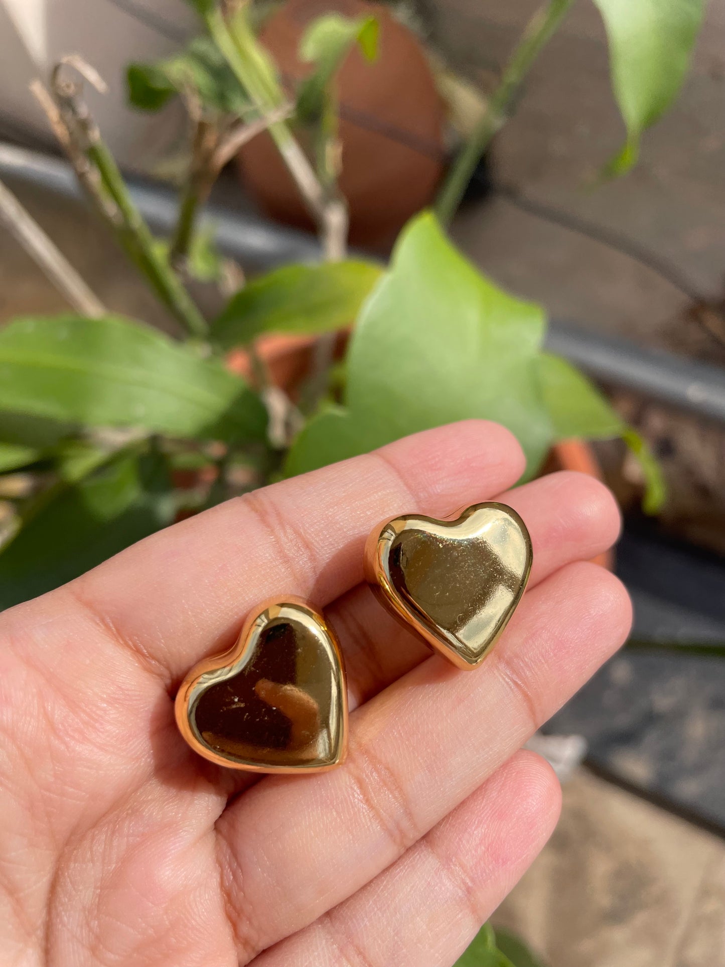 Heart studs