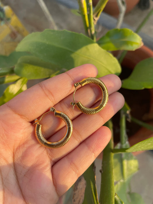 Coil hoops