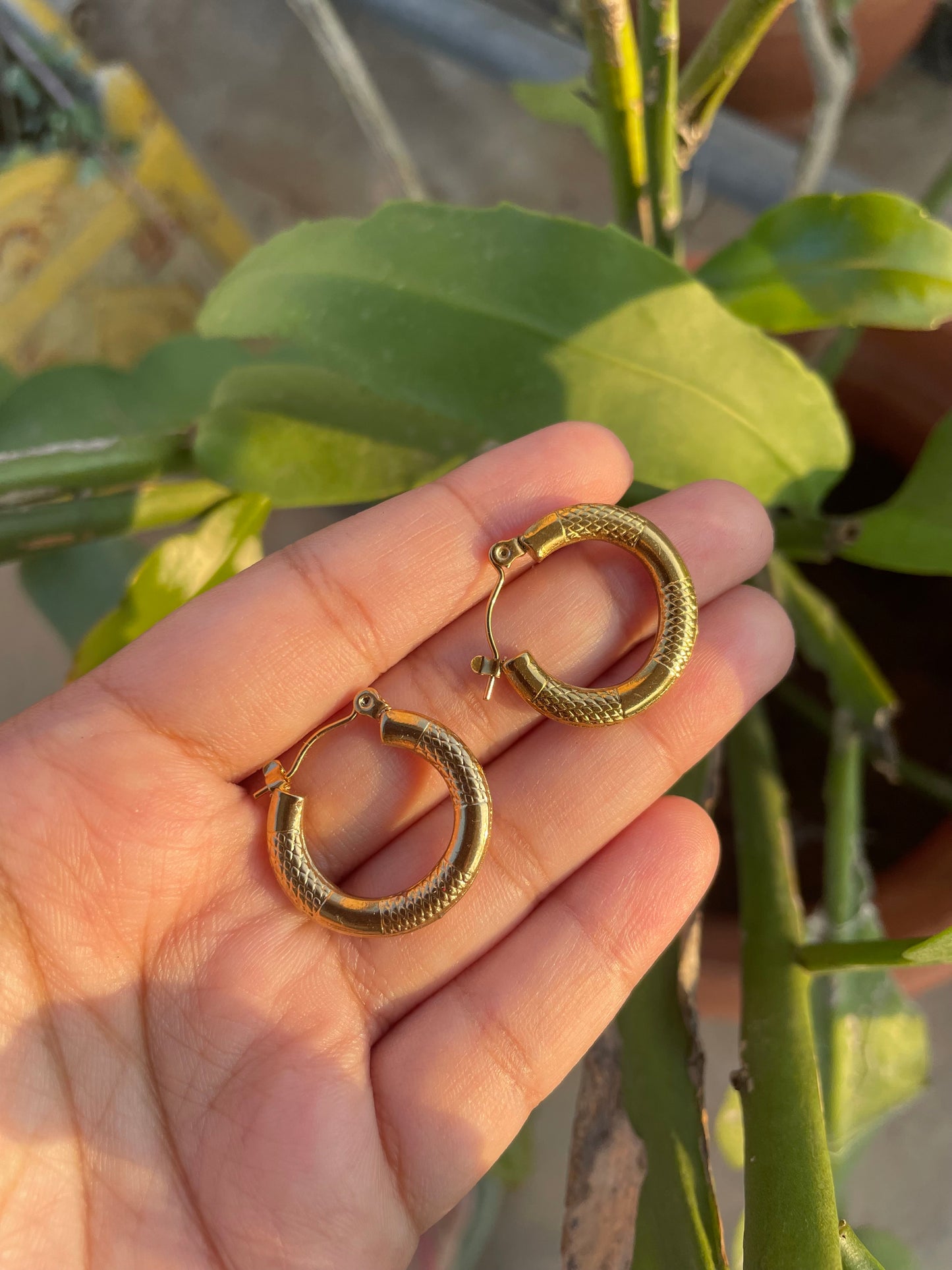 Coil hoops