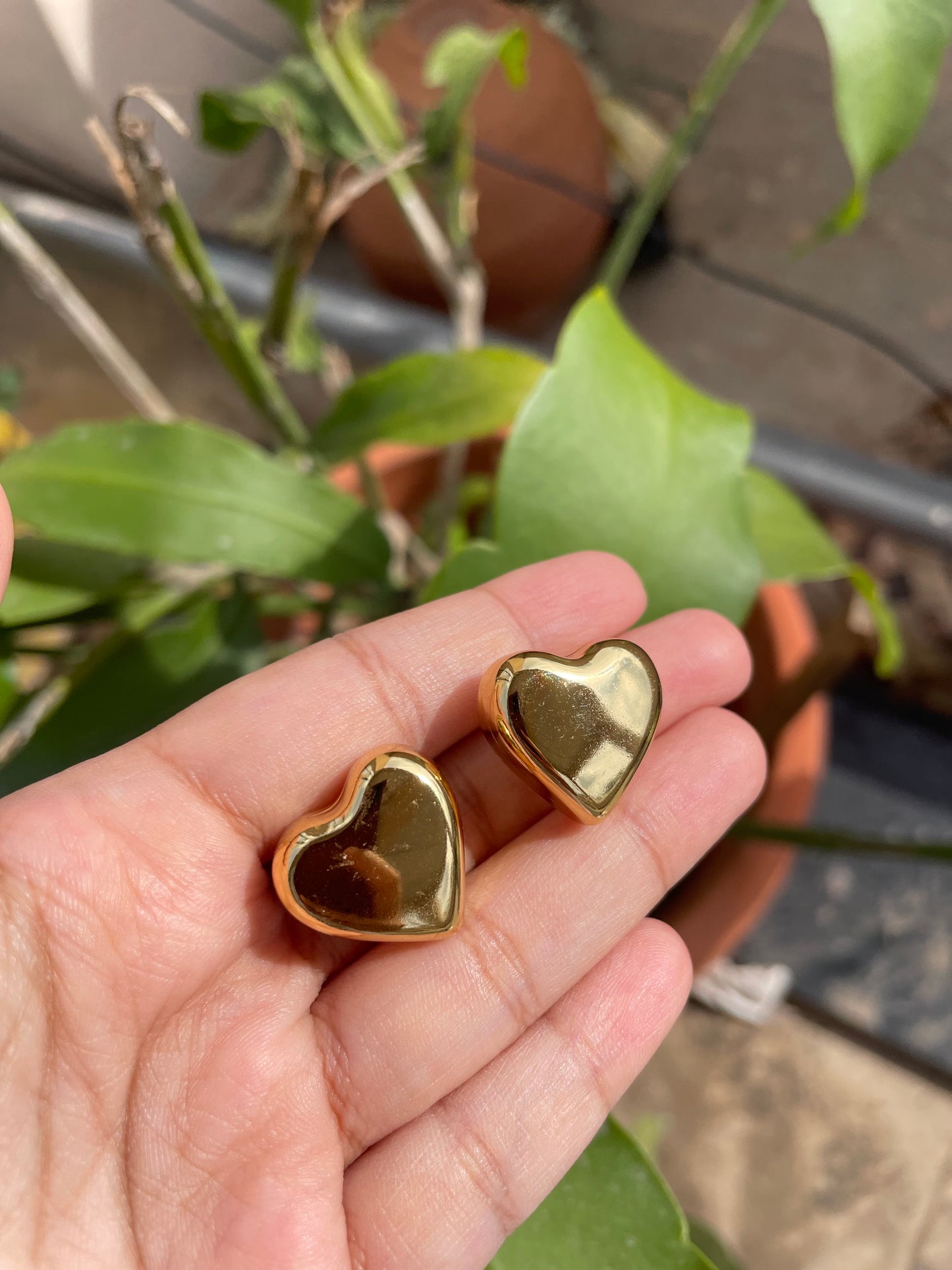 Heart studs